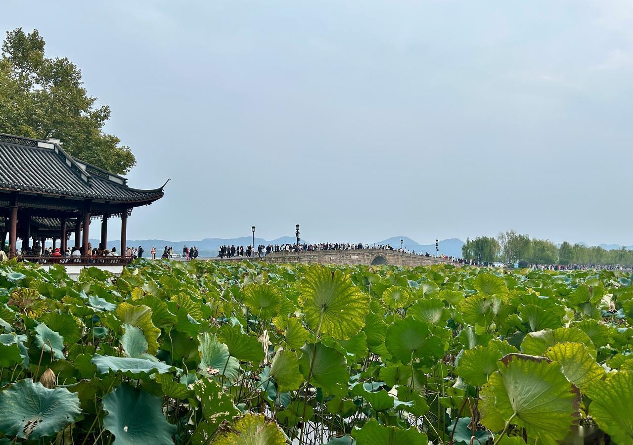 受从蒙古东移南下的冷空气影响，16-18日，全省大部分地区平均气温下降8～12℃