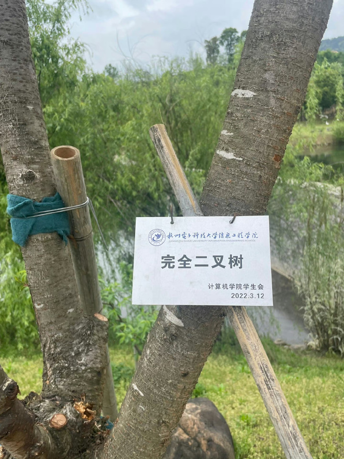 连高校里的树都有各自的名字