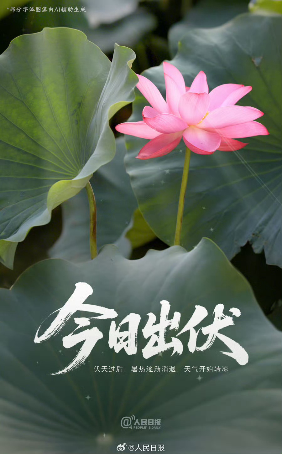 【#三伏天结束#】从7月20日到8月18日，今年30天的“三伏天”已结束。伏天过
