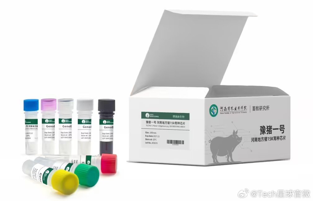 【河南首款地方猪育种芯片发布】豫猪一号育种芯片问世8月10日消息，据河南日报上周
