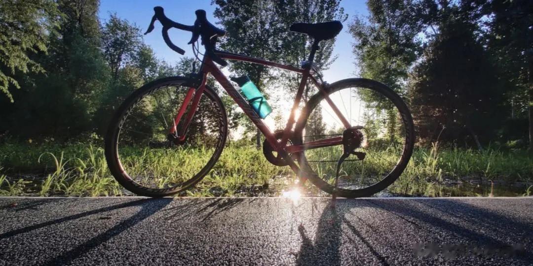  
四季中最喜欢秋天，秋天才最有深远醇厚的滋味。
秋天里亦有远意，这远意是薄雾和