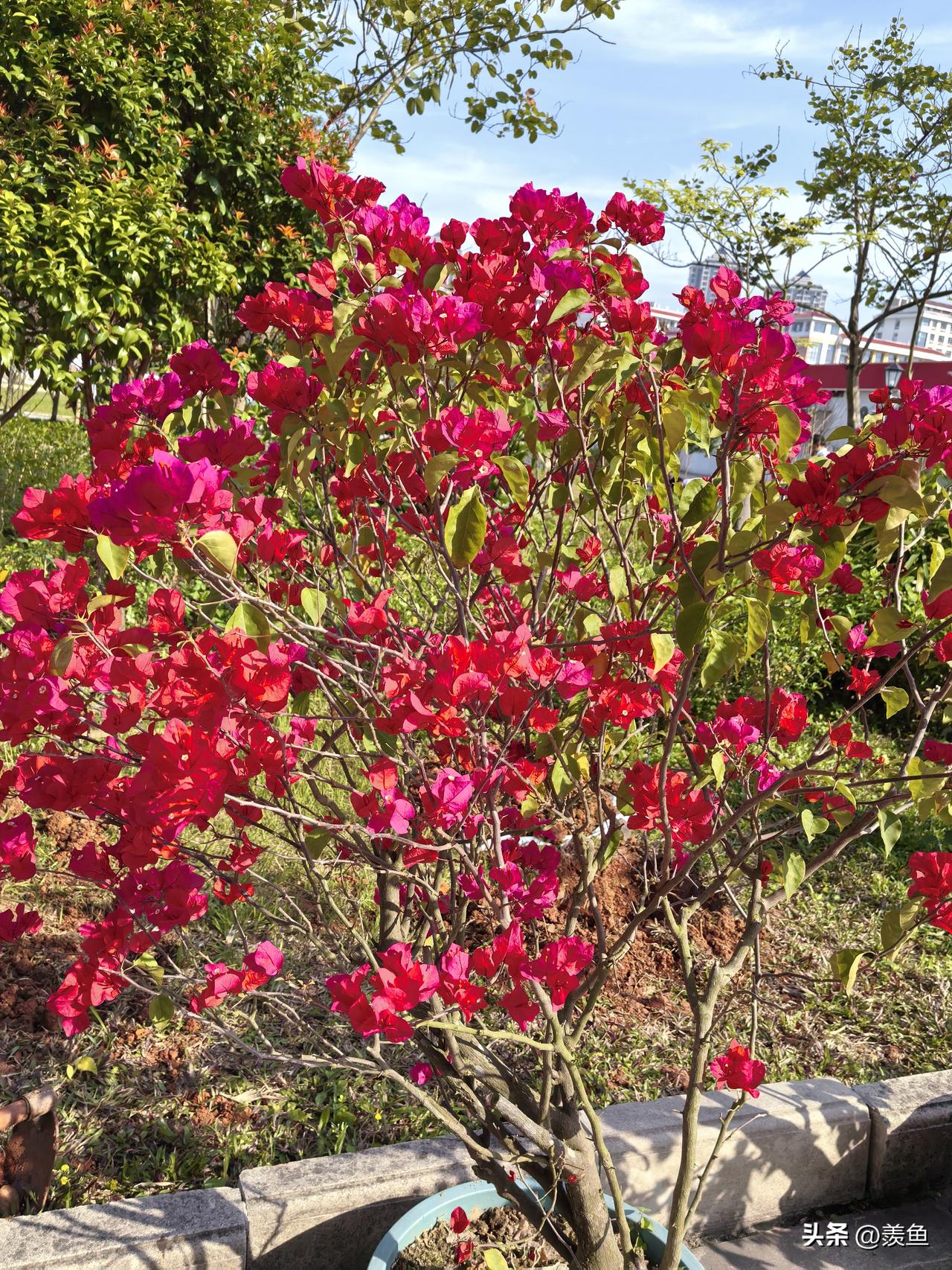 一定要吃好睡好，用生命的长度去稀释疼痛的浓度，直到它变得微不足道，人活着的意义，