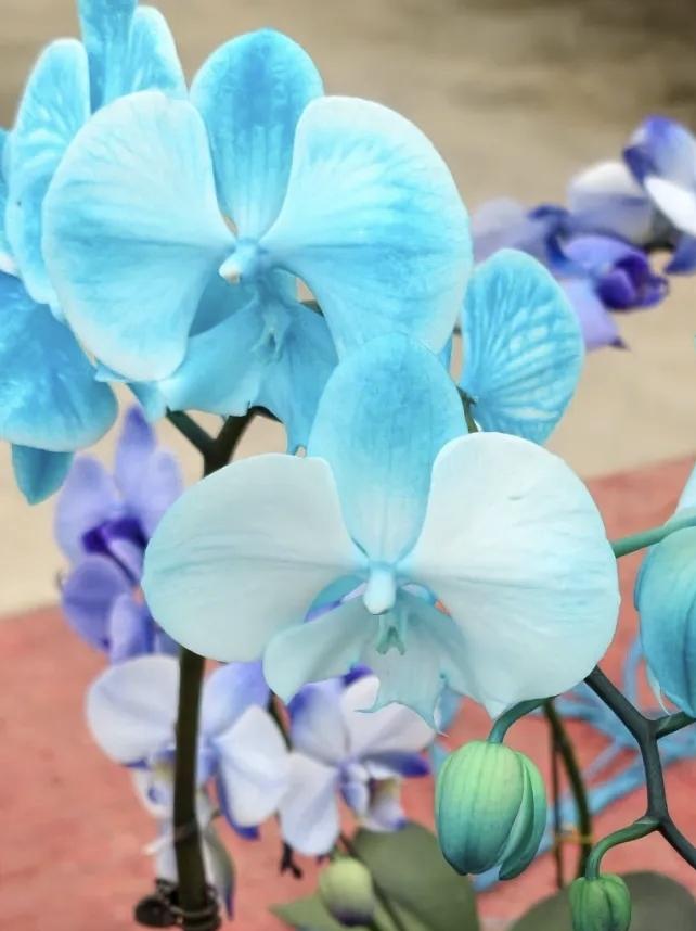 【若想树敌，就胜于你的朋友；若想交友，请让朋友胜于你】
        “若想树