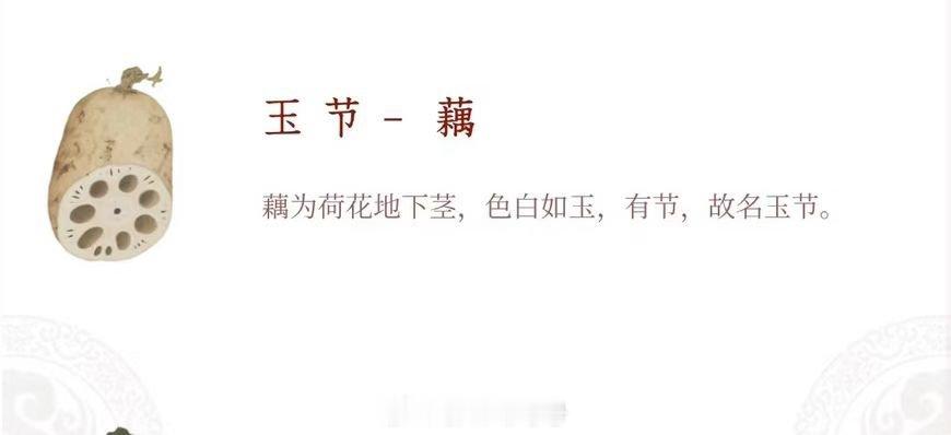 古人对蔬菜惊艳称呼之藕[good][good][good] ​​​