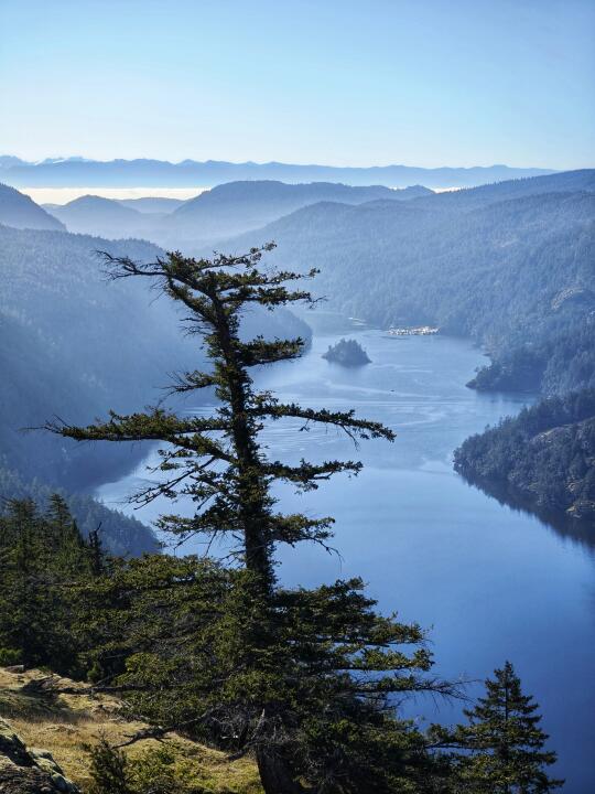 用我最爱的方式送别龙年，迎接蛇年！