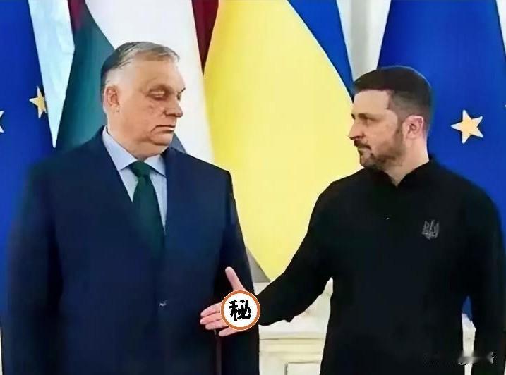 欧尔班这下被怼懵了！
泽连斯基在慕尼黑安全会议上没留一点情面，直接拿匈牙利总理的