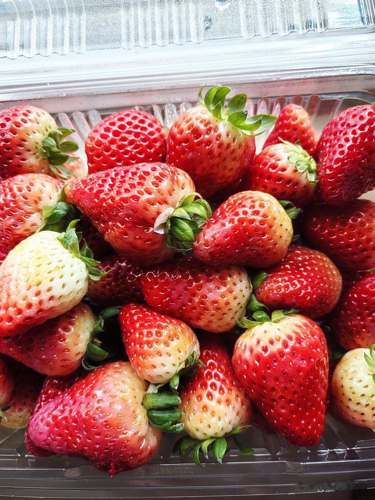 今天去了菜市场，
草莓🍓15元2斤，

富硒鸡蛋19.9元30个，
西红柿7元