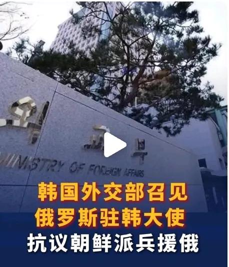 俄罗斯回应朝鲜派兵：俄朝合作在国际法框架内，三个没想到：

1.没想到俄罗斯公开
