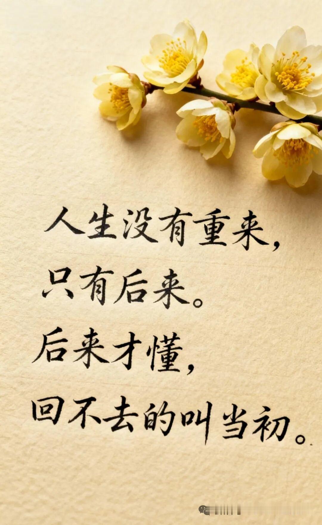 每日金句打卡签到人生没有重来，只有后来，后来才懂，回不去的叫当初！[作揖]