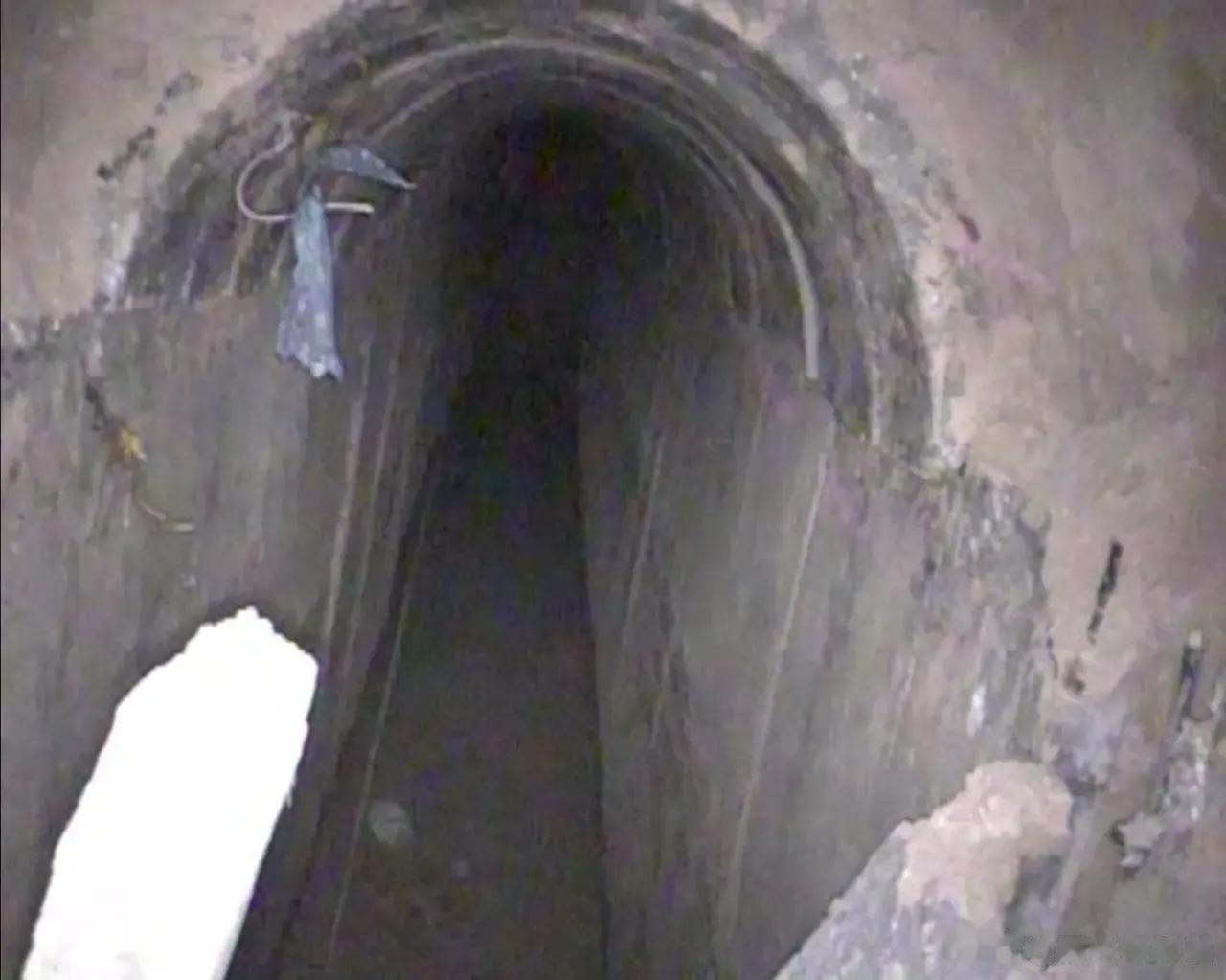 等巴勒斯坦地区彻底恢复和平，不再有巴以冲突，联合国教科文组织完全可以把加沙地道收