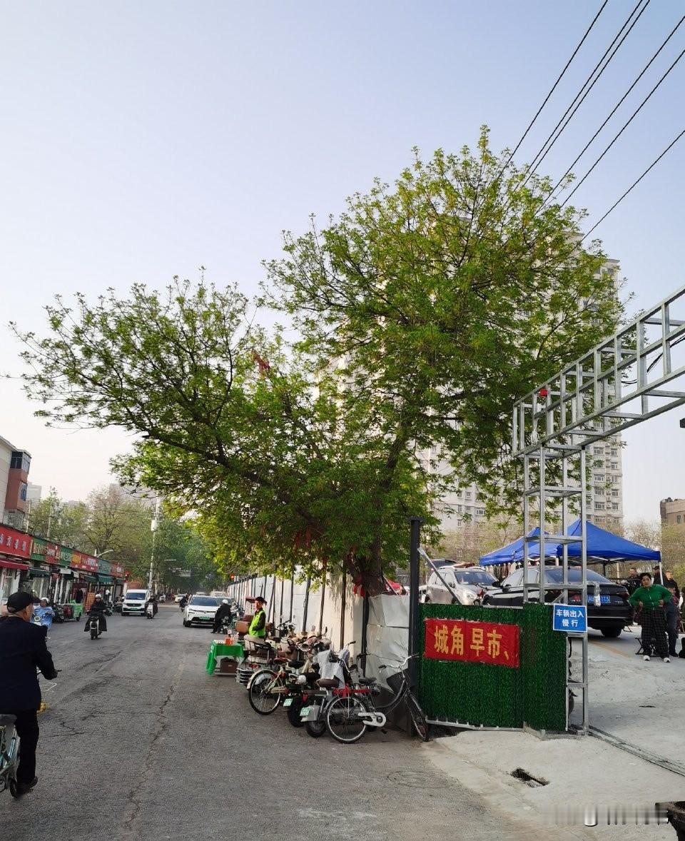 城角庄早市贴牌了，夜市也贴牌了……早市夜市在城角庄东边，毗邻城角街……门前挺立着