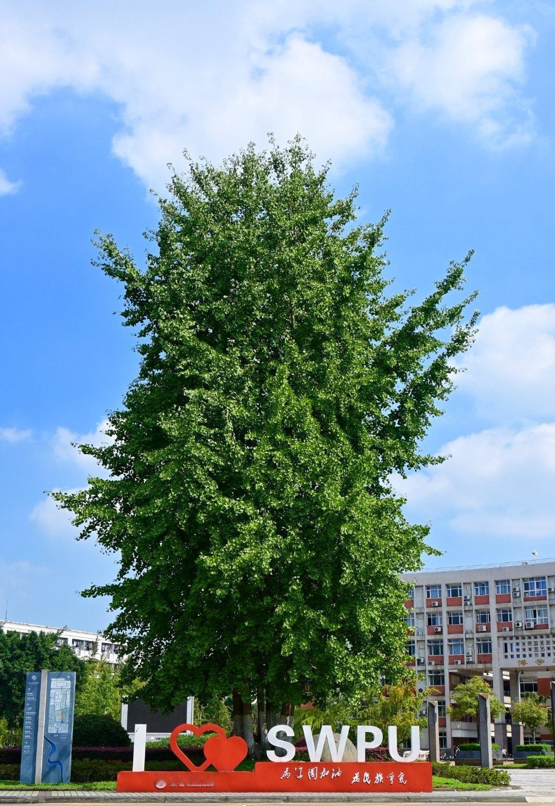 江南大学超话
西南石油大学六十七周年校庆
六十七载春秋辉煌，育英筑梦绽放光芒。