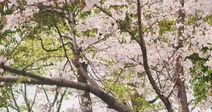 “去班味”的年轻人，爆买踏青“硬通货”，有品牌单月狂揽百万