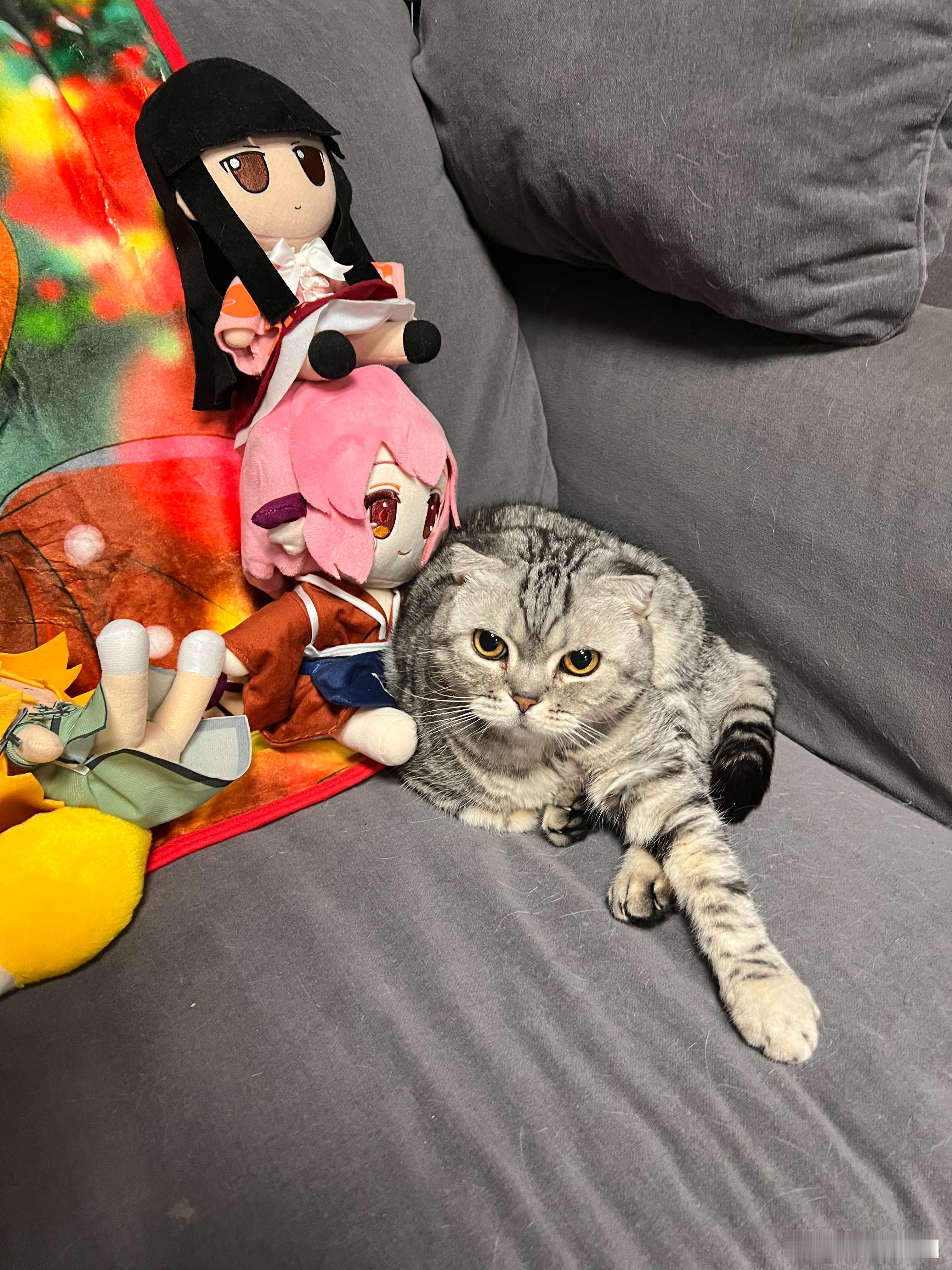 媳妇和娃动身去北海、海南玩时理论上还没放假，所以寒假作业这段时间滞留在我手里。于