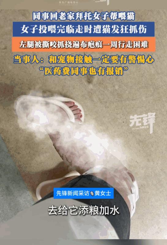 这真是太惨了！海南三亚，一位女子好心帮同事上门喂猫，本以为是举手之劳，谁知竟换来