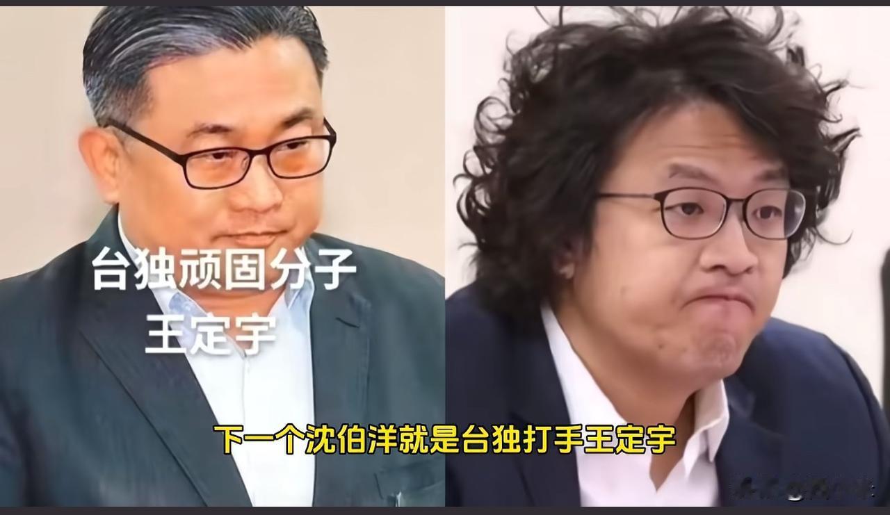 下一个就是沈伯洋，就是台打手王定宇狂妄自诩是第一个检举高安国将军的人，更扬言要追