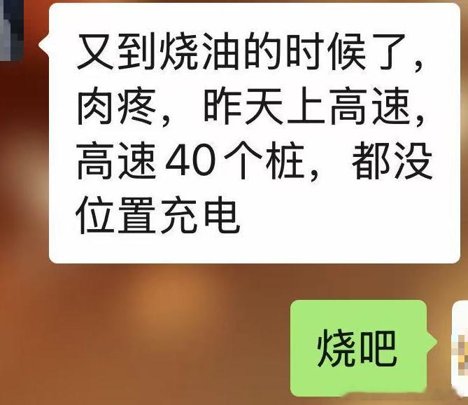 春节到了，混动车主的日常，坚持了一年的纯电行驶，最后回家这几百公里要“破戒”用油