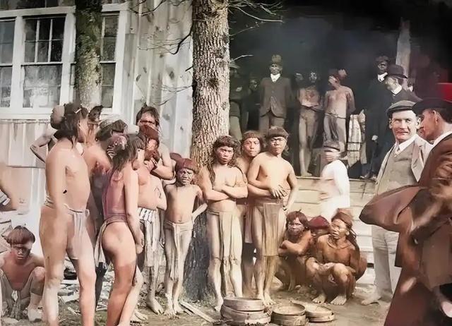 1788年，当第一批英国舰队抵达澳大利亚时，这片广袤的土地上还生活着近百万原住民