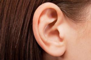 从今天开始，我决定自己按摩耳朵，先揉耳屏前面一张嘴有个小坑的地方，耳垂下面的小窝