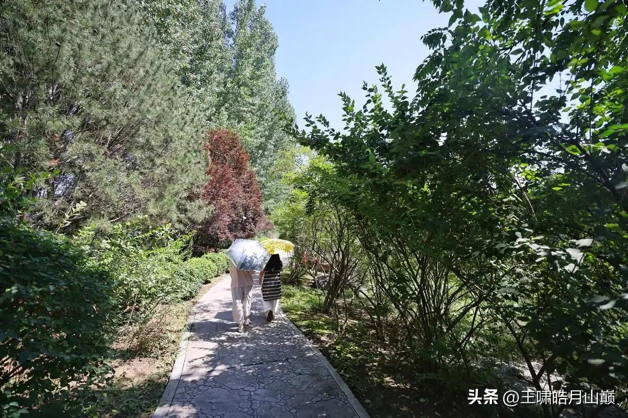现在交高速费真是越来越简单了
  今天我加班到8点半进行业务的上线和下线的调整，