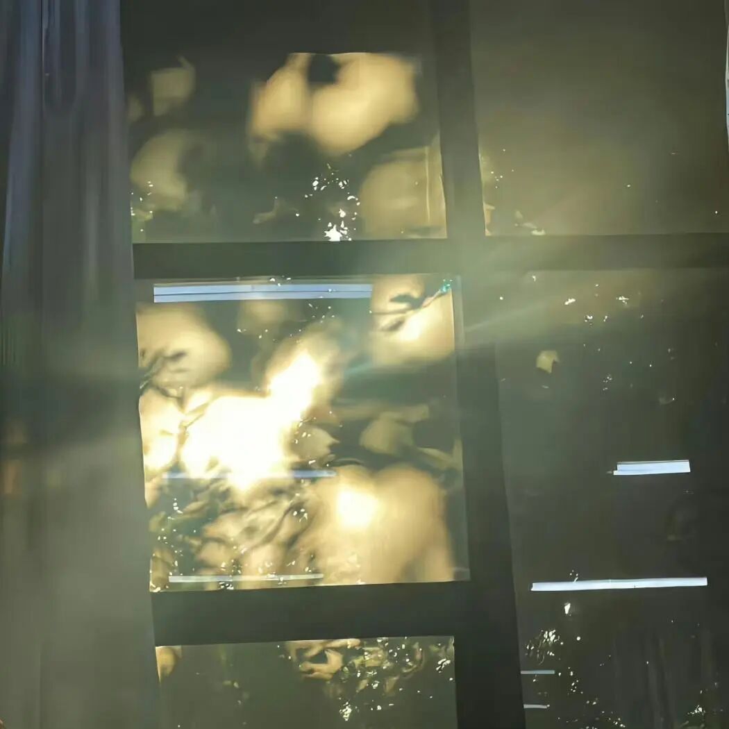 放慢脚步，感受细碎美好，日子清净，抬头皆是温柔 