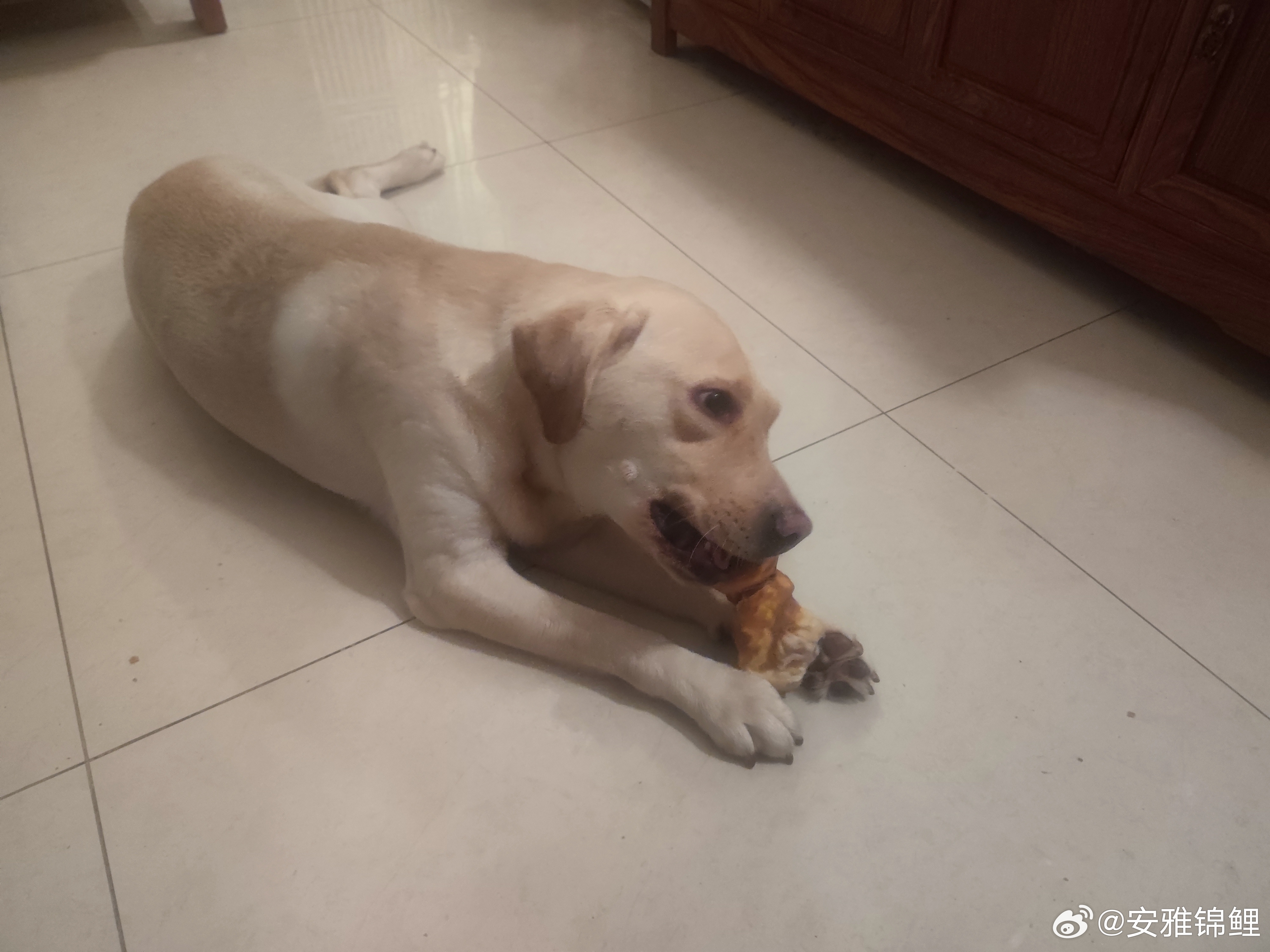 快乐的零食时间拉师傅太开心了 