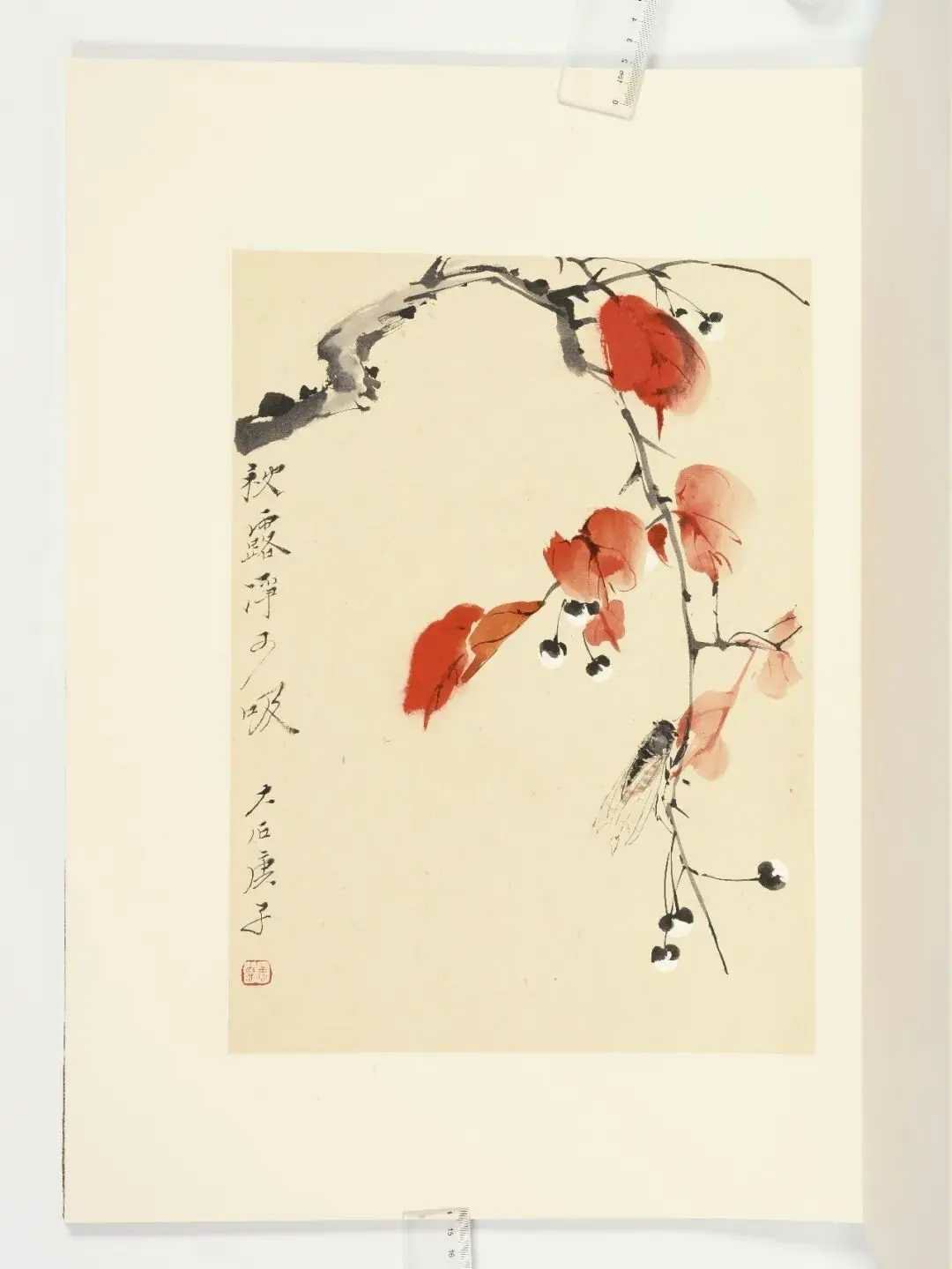 唐云《花卉草虫册》，册页（八开） 水墨纸本、设色纸本，37.5×28.0 cm 
