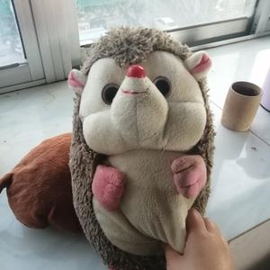 小布丁爱追剧爱八卦