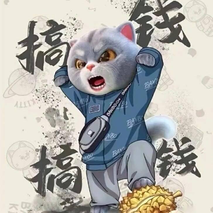 是为了买名牌包吗？是为了换豪车吗？其实都不是。

努力赚钱的终极意义，是为了“选