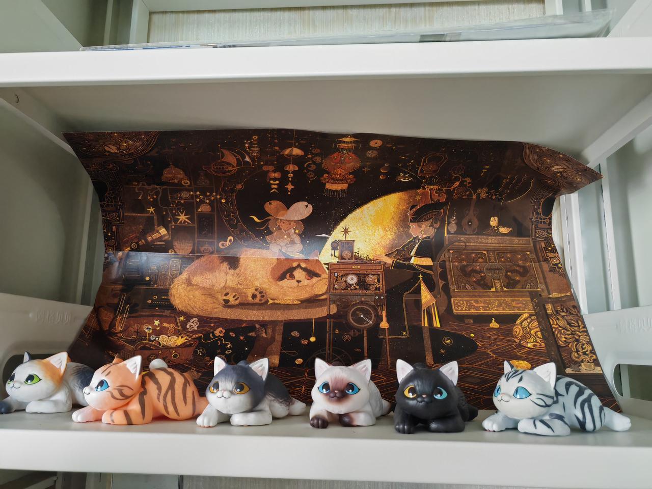 萌萌哒的小猫咪，女儿不爱化妆打扮，就喜欢这些可爱又无用的东西。或许是她的世界太纯