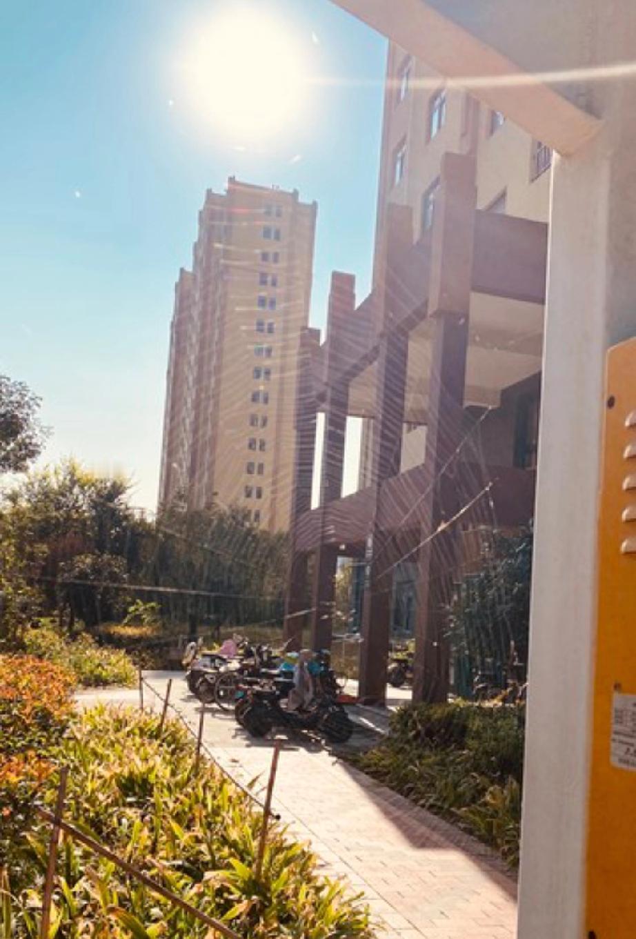 这两天沈阳又降温了，昨天出去穿着风衣冻够呛很冷。
         今天早晨起来