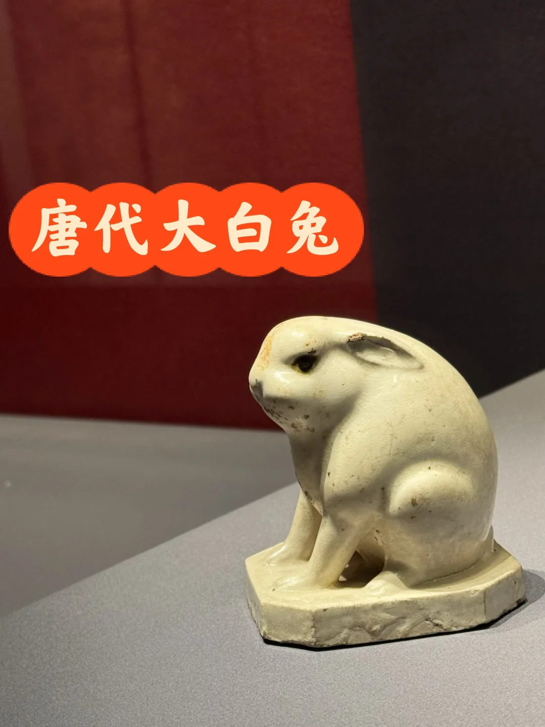 来自唐代的大白兔，奶凶奶凶的……