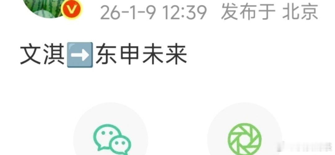 文淇是东申的口味，脸不V的质感款 