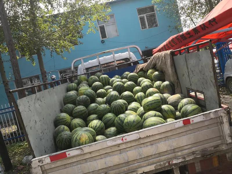 河南72岁老人卖整车西瓜仅要70元 7月11日河南许昌的这一幕太暖了！烈日下，7
