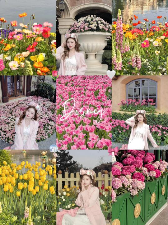 春日迪士尼就是坠好拍的！美到失语…🌷