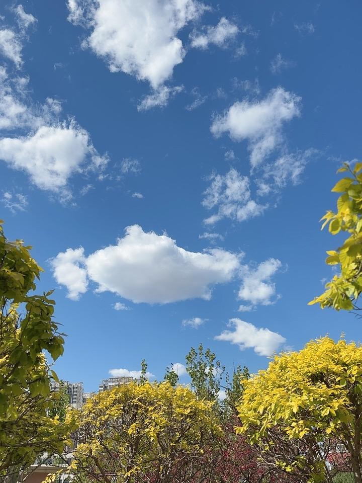 昨天下午下了一场雷雨
换来了今天的好天气
蓝天白云，让人心旷神怡
在这样的天气里