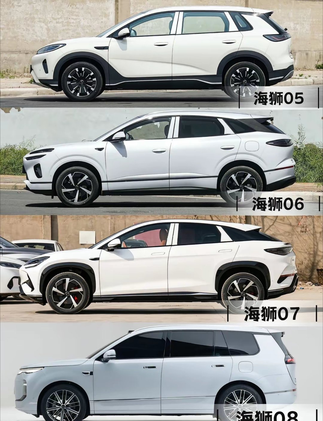 🚙比亚迪海狮5678都集齐啦我们都知道比亚迪海洋网-SUV系列是系 海狮  命