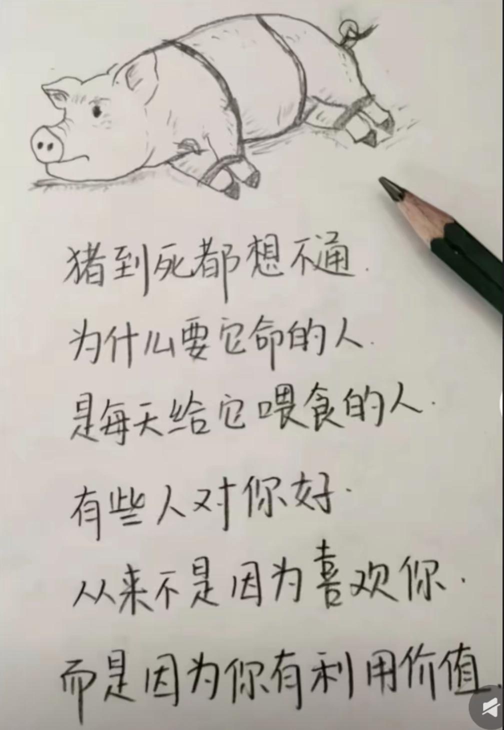 言之有理[赞]