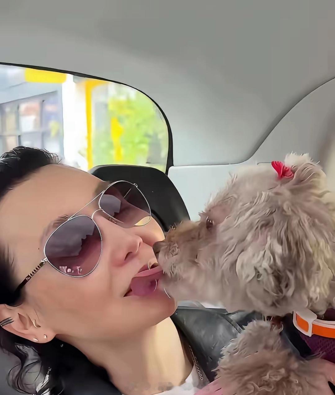 喜欢毛孩子没问题，但是要这样我可真不理解！影视娱乐圈也有很多人特别喜欢毛孩子，甚