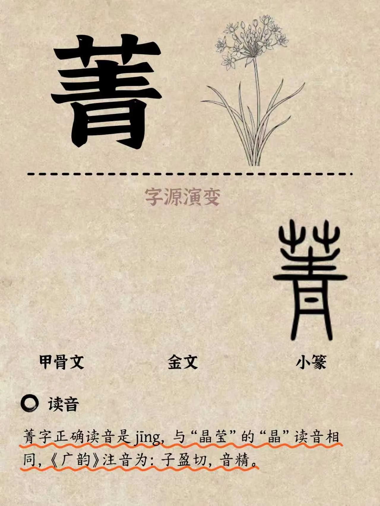 ✨“菁菁校园”里的“菁”，原来是一种能吃的花？“菁”这个字，很多人名字里都有它，