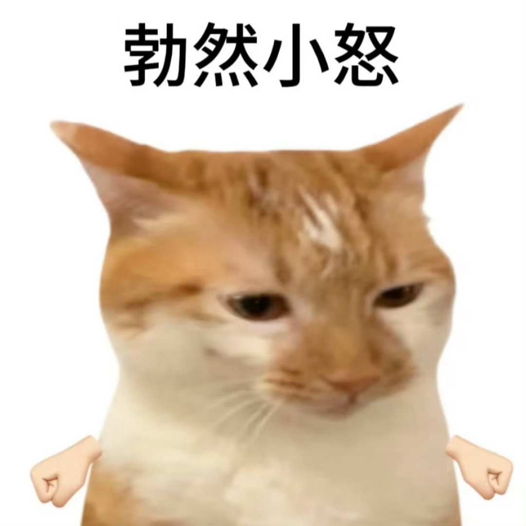 我每天就这样 