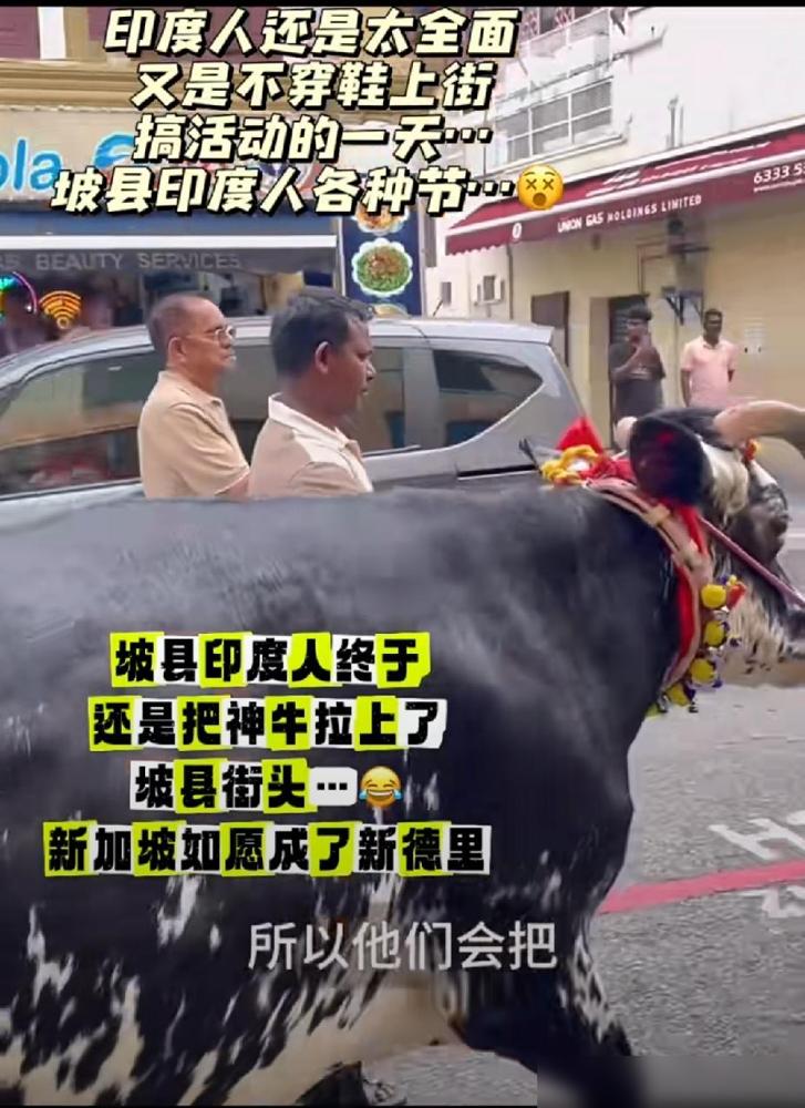 说两个事实，大家别喷我！

其实新加坡的移民配额调控确实存在，但出发点真不是专门
