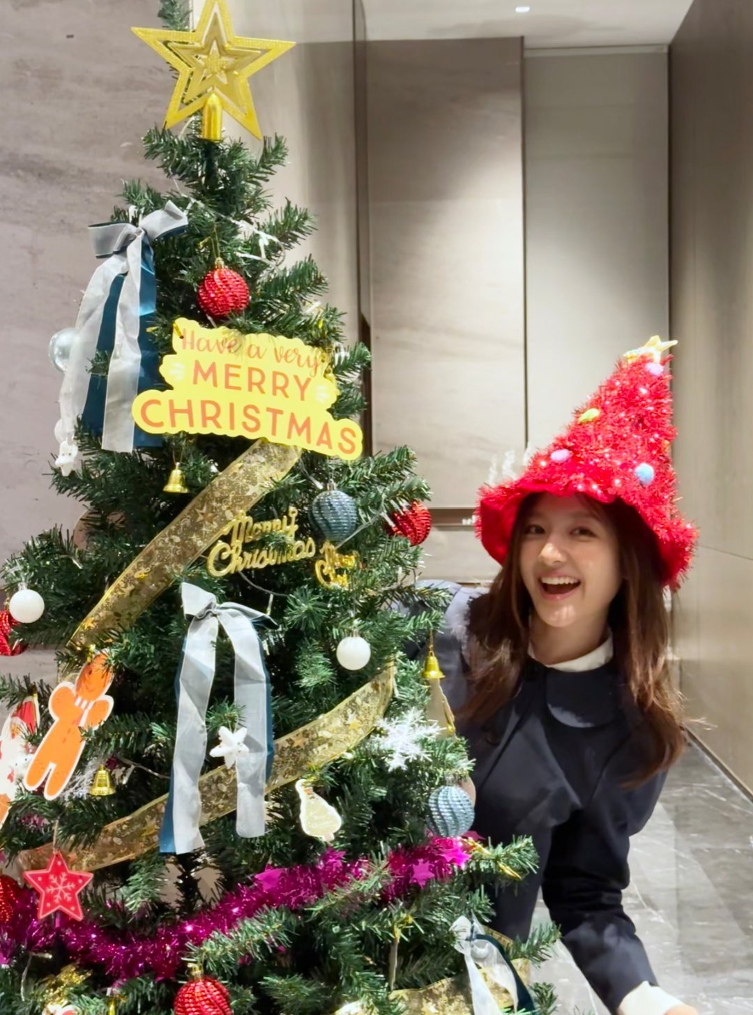 李兰迪圣诞树合拍姿势大全～ 