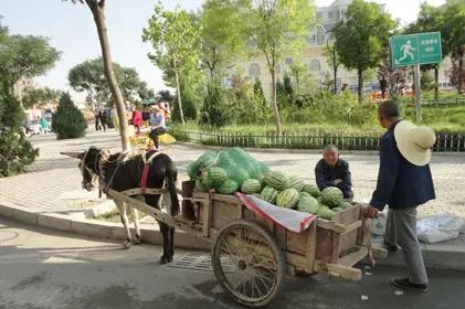 老农卖西瓜
夏天，一乡下老农赶着驴车去县城卖西瓜，走到一个十字街口的大树下停了下