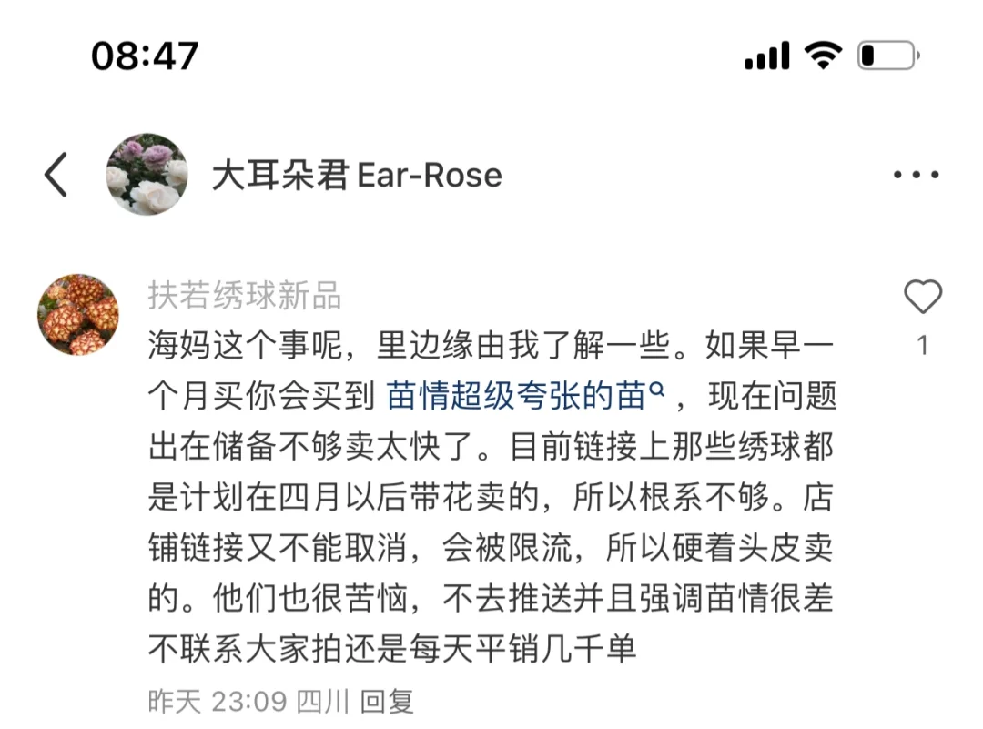 苗情差价高的解释：他们也很苦恼