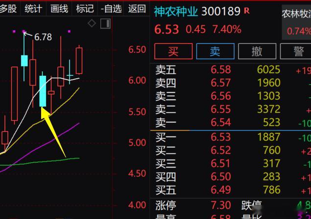 很坚挺，今日拉升7个多点300189，这几日若做T也很舒服，大家自行安排 ​​​