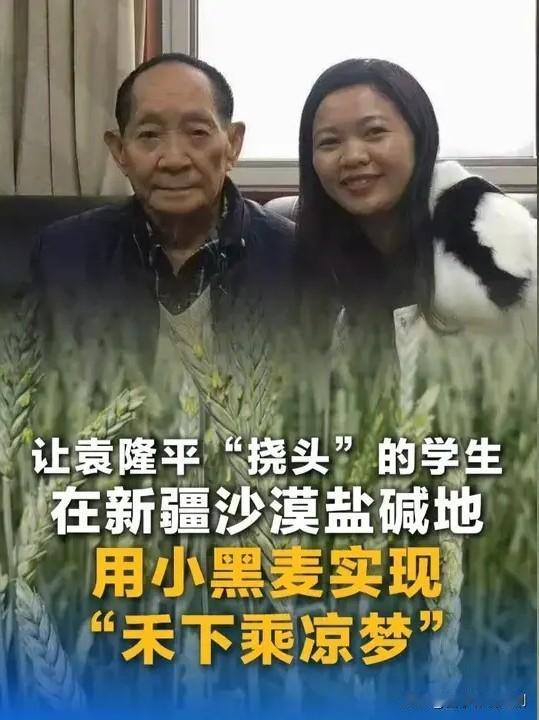 田埂边风卷着麦浪晃得晃眼，袁隆平院士门下的年轻徒弟蹲在试验田垄间，摸着齐人高沉甸