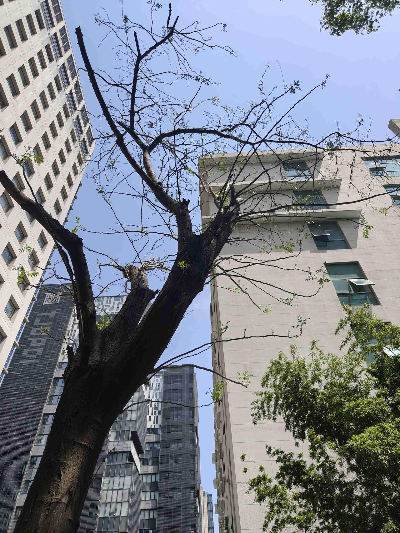 我的今日状态：😁轻松愉快
我这里的天气：🌤️多云