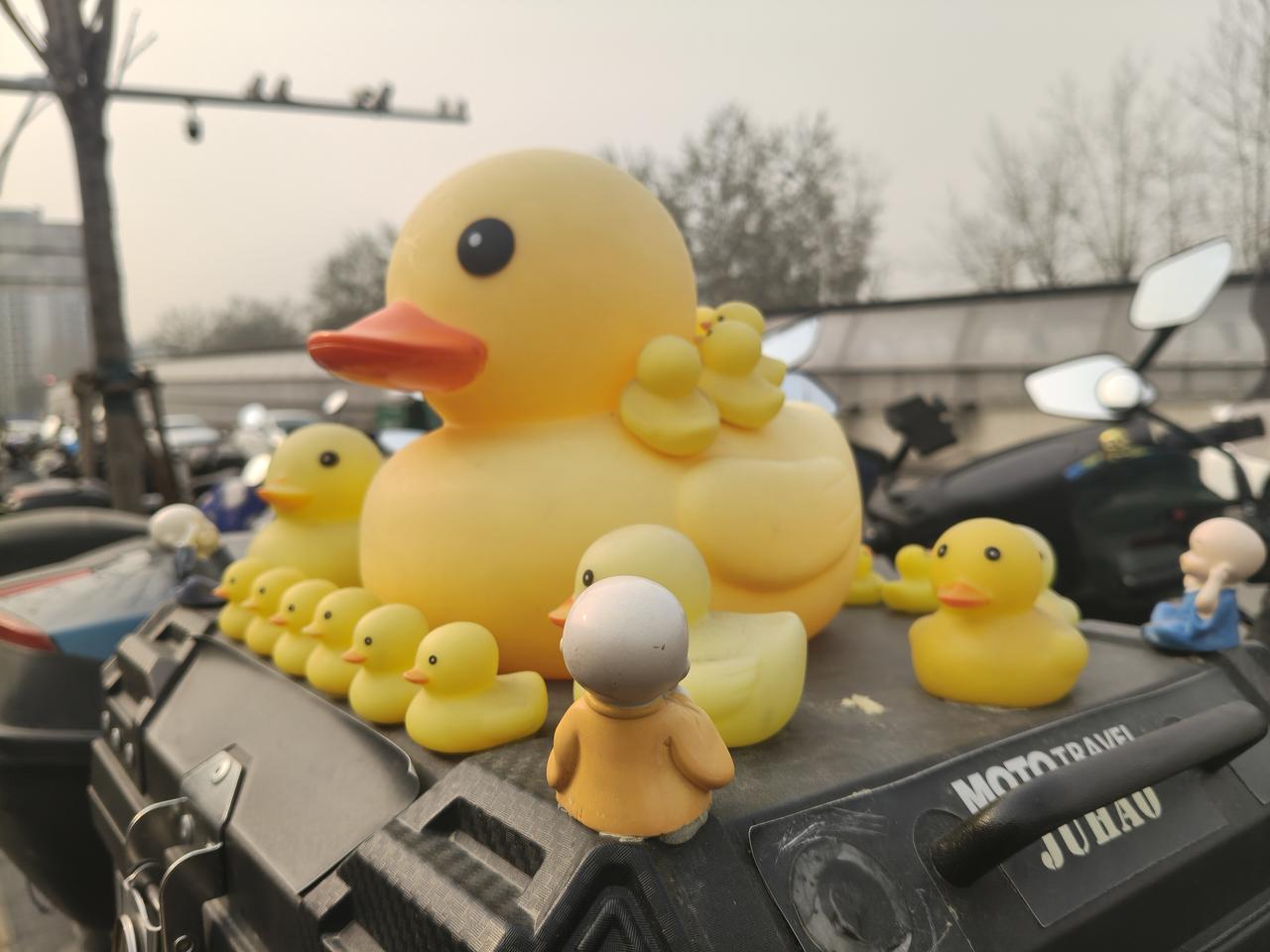 昨天跑了一天找工作，收到了几结果！
     昨天跑了一天，没有直接入职的工作，