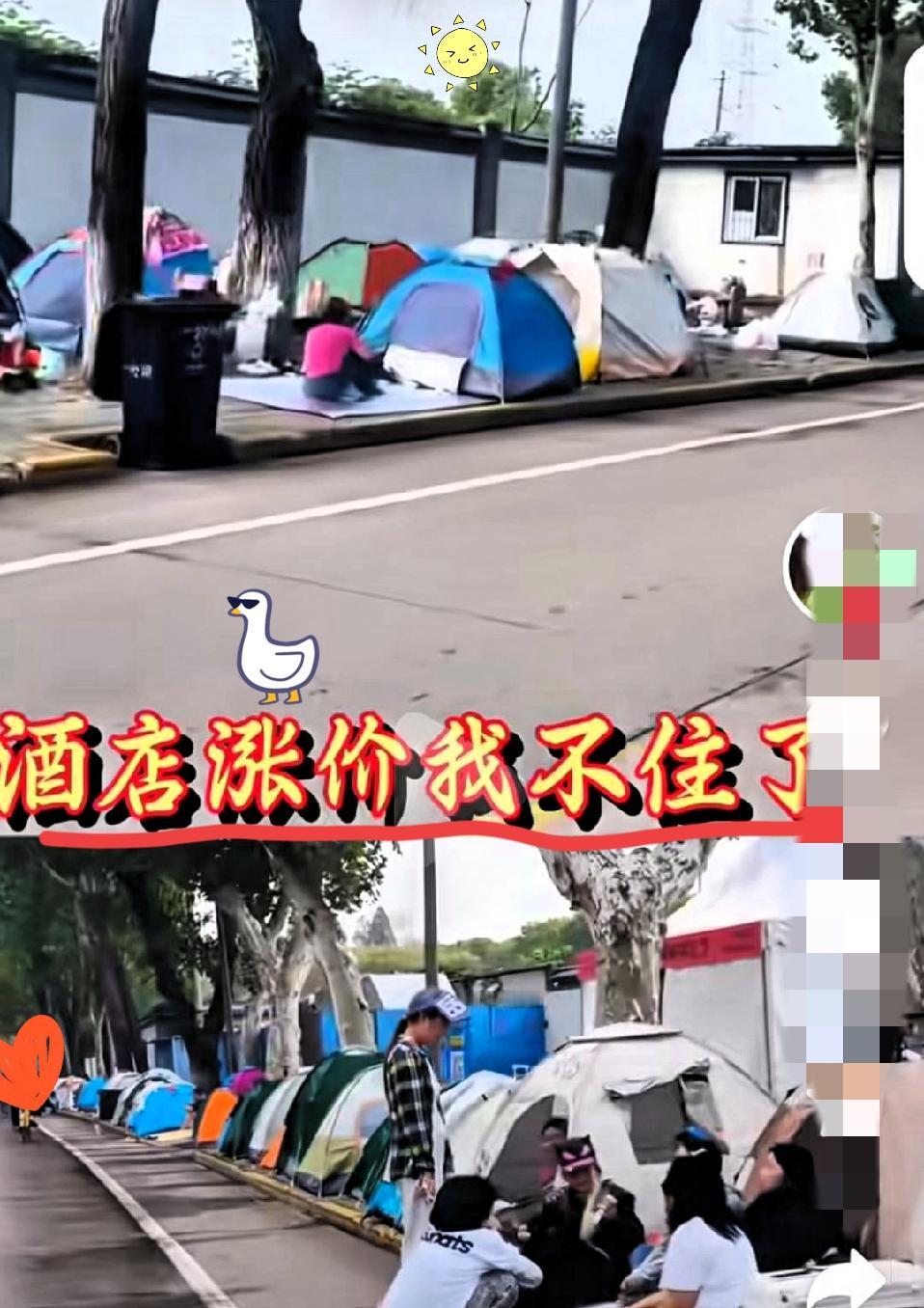 这届十一假期太魔幻！
谁能想到，
把民宿酒店“打懵”的，居然是一顶顶小小的帐篷！